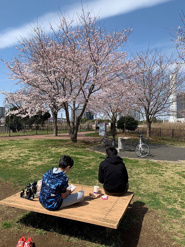 桜１.jpg